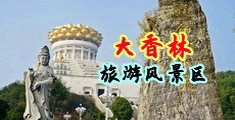 黄色逼逼中国浙江-绍兴大香林旅游风景区